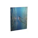 Aluminium Photo Panel : Clear Gloss : 5" x 7" 