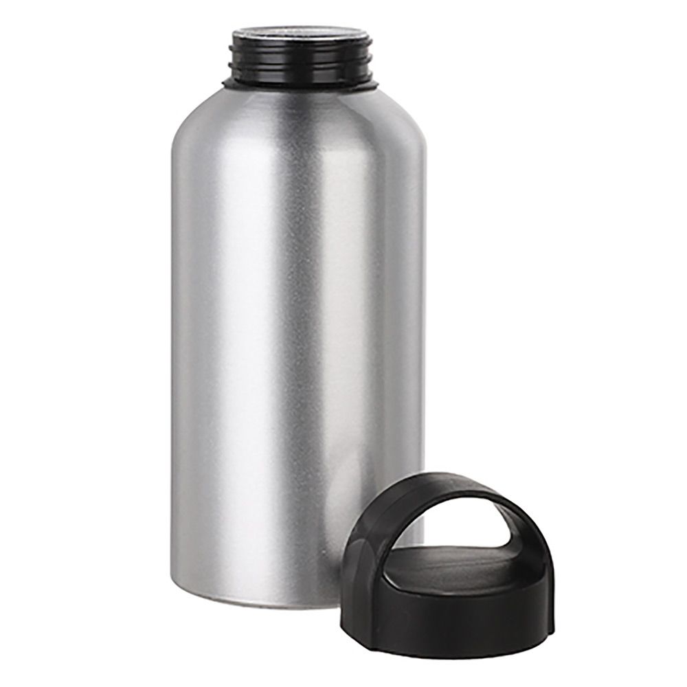 Water Bottle With Handle - 17 OZ Silver